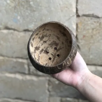 Coconut Planter