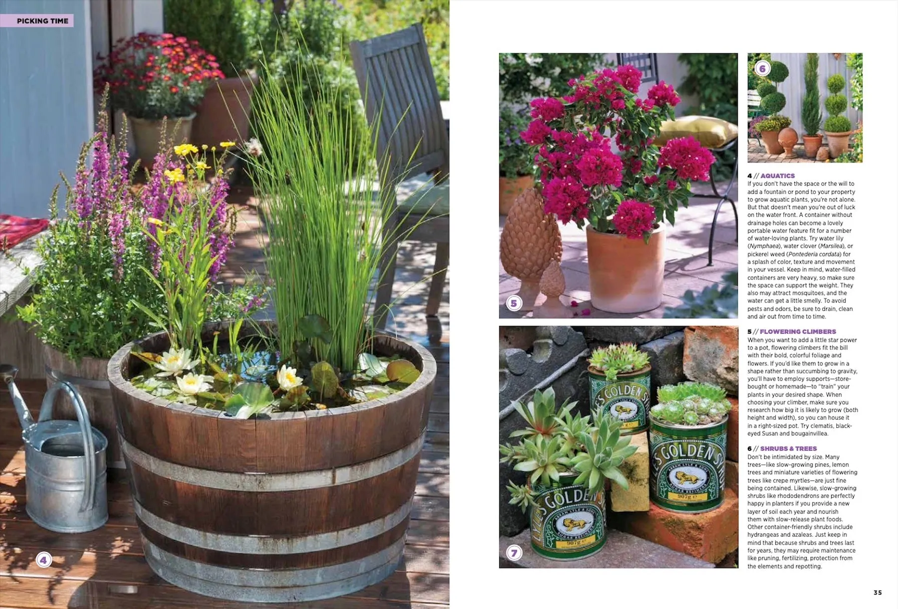 GARDEN STYLE - Guide to Container Gardening With 197 Beautiful & Colorful Ideas! DIY Tips and Ideas Using Planters, Pots, Flowers To Create Your Own Garden Oasis!