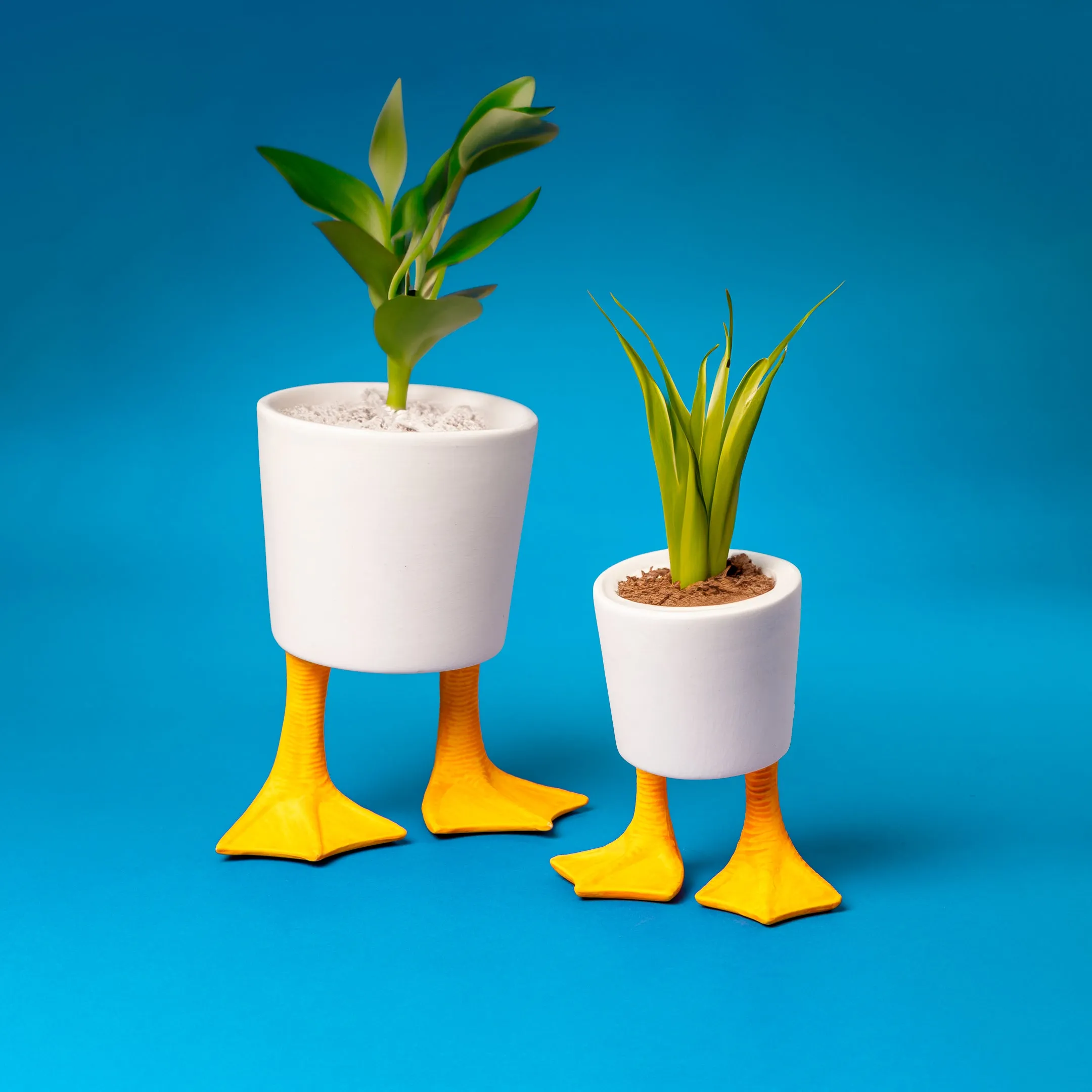 Large Duck Feet Planter