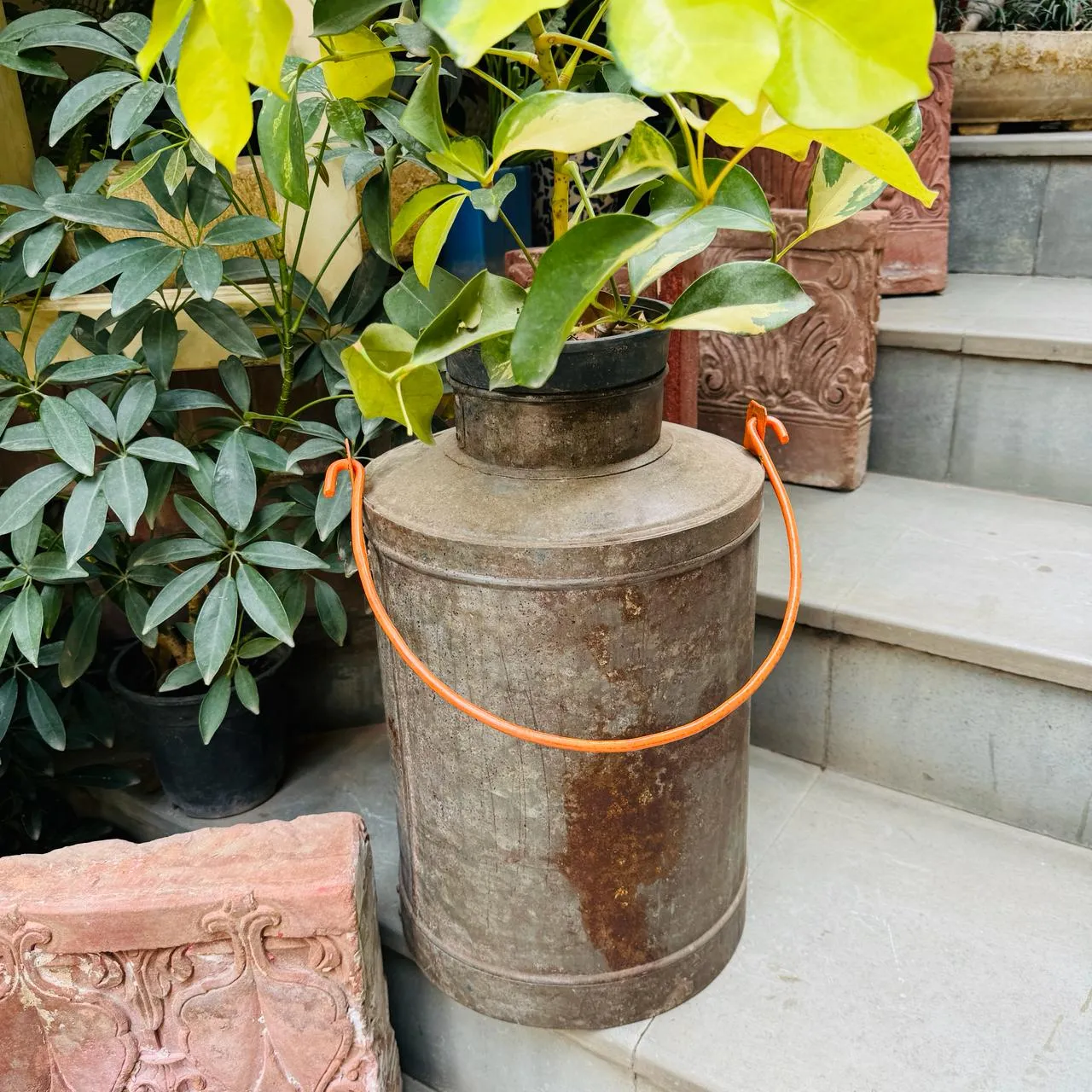 Milk Urn Metal planters : Razaa 4 ( Sold individually)