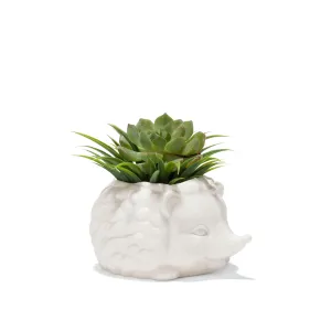 Prickles The Hedgehog Planter