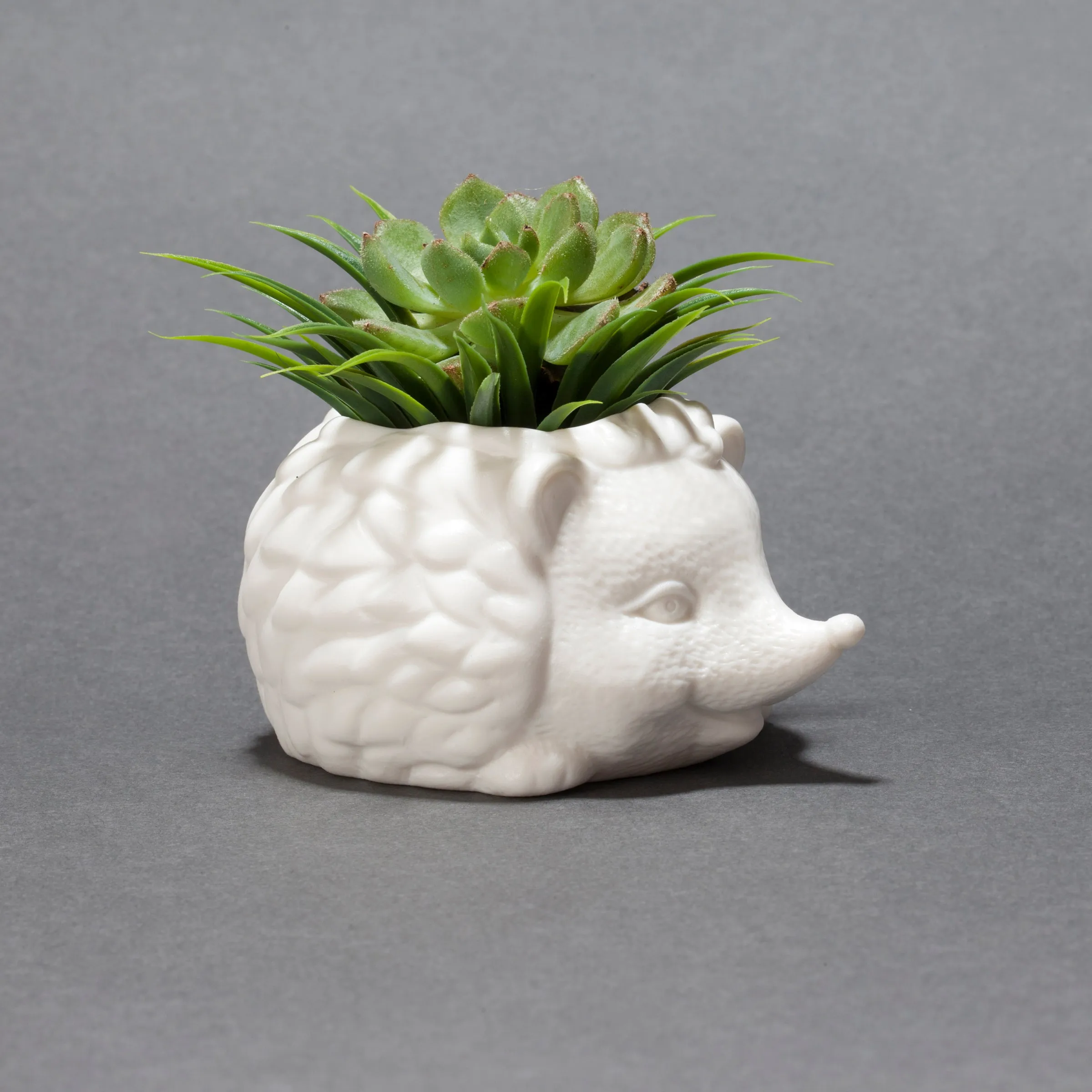 Prickles The Hedgehog Planter