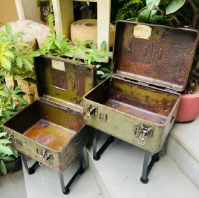 Raaza : Metal Trunk  planters with a stand  ( Sold Individually)